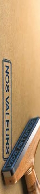logo VERITASIUM